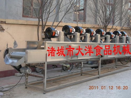 食品風干設備 諸城市大洋食品機械廠